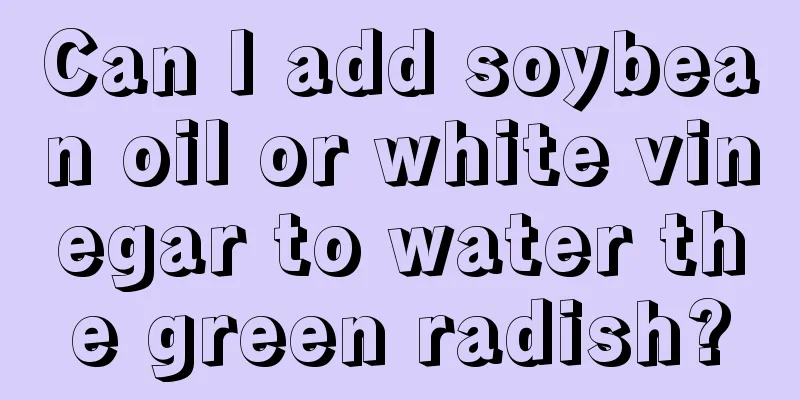 Can I add soybean oil or white vinegar to water the green radish?