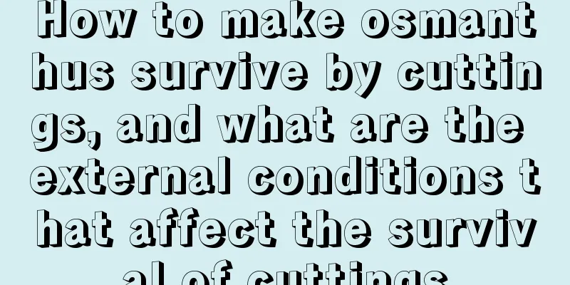 How to make osmanthus survive by cuttings, and what are the external conditions that affect the survival of cuttings