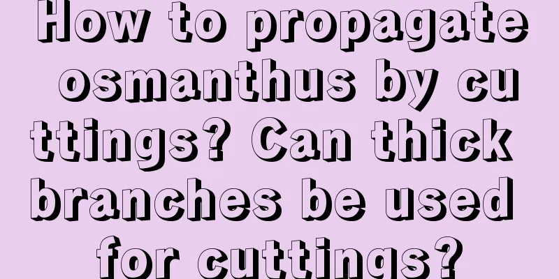 How to propagate osmanthus by cuttings? Can thick branches be used for cuttings?