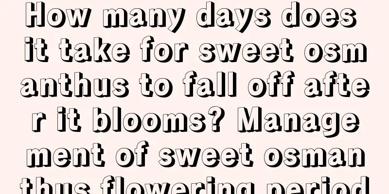 How many days does it take for sweet osmanthus to fall off after it blooms? Management of sweet osmanthus flowering period