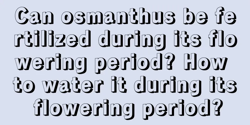 Can osmanthus be fertilized during its flowering period? How to water it during its flowering period?