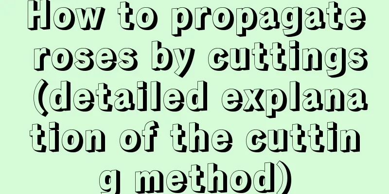 How to propagate roses by cuttings (detailed explanation of the cutting method)