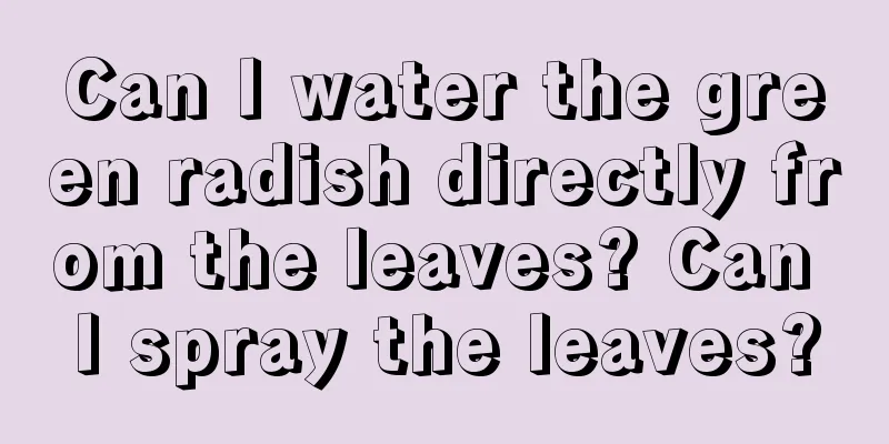 Can I water the green radish directly from the leaves? Can I spray the leaves?