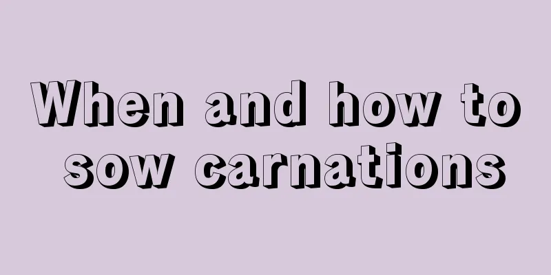 When and how to sow carnations