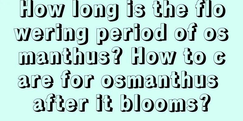 How long is the flowering period of osmanthus? How to care for osmanthus after it blooms?