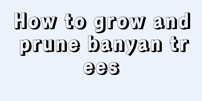 How to grow and prune banyan trees