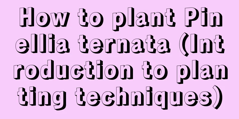 How to plant Pinellia ternata (Introduction to planting techniques)