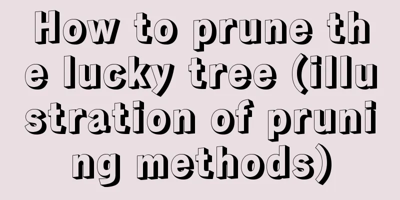 How to prune the lucky tree (illustration of pruning methods)