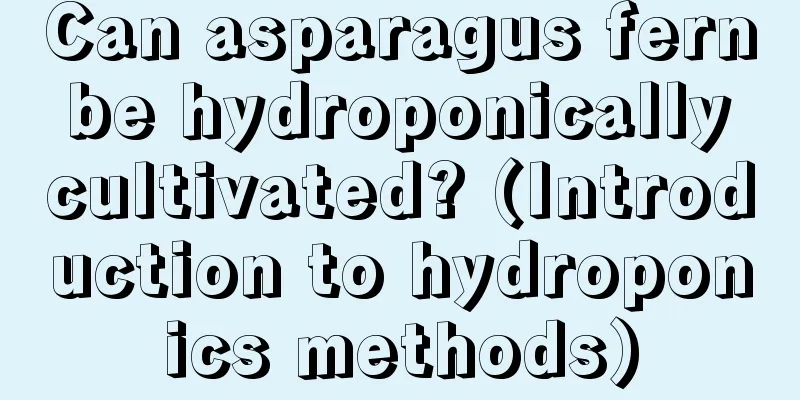 Can asparagus fern be hydroponically cultivated? (Introduction to hydroponics methods)