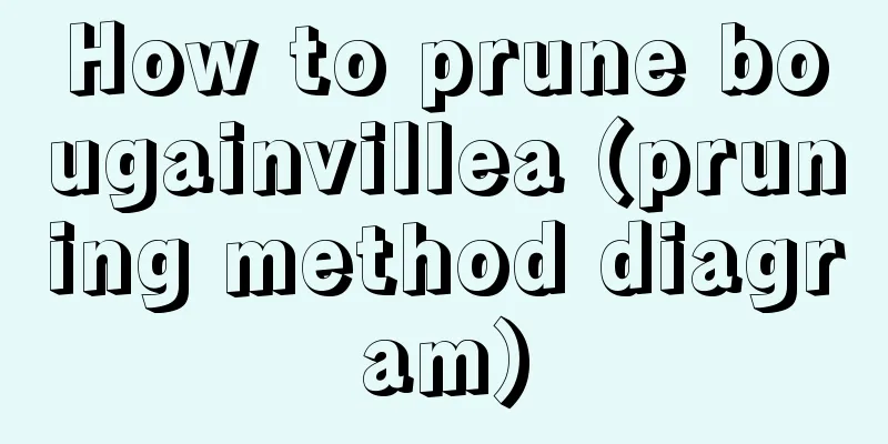 How to prune bougainvillea (pruning method diagram)