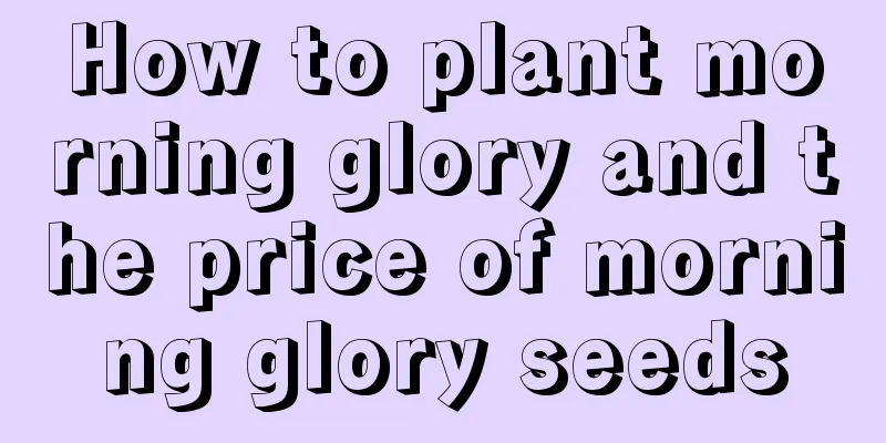 How to plant morning glory and the price of morning glory seeds