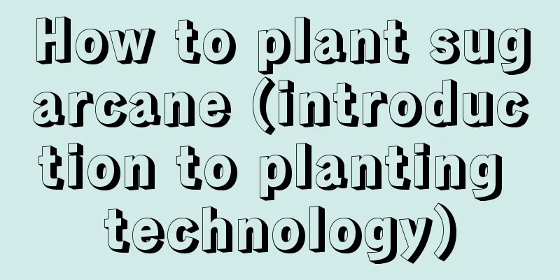 How to plant sugarcane (introduction to planting technology)