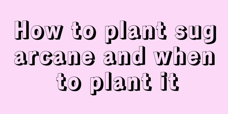 How to plant sugarcane and when to plant it