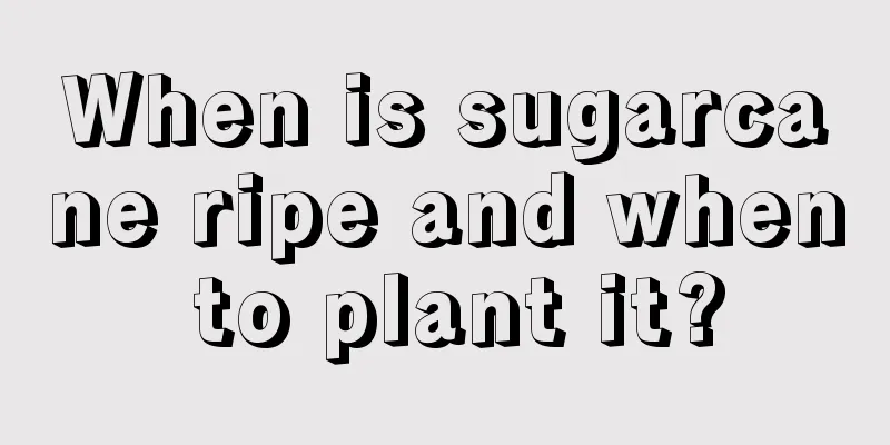 When is sugarcane ripe and when to plant it?