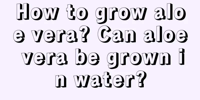 How to grow aloe vera? Can aloe vera be grown in water?