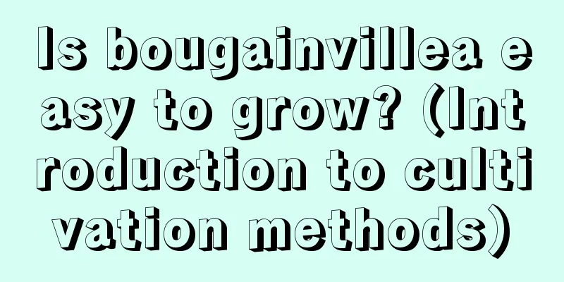 Is bougainvillea easy to grow? (Introduction to cultivation methods)