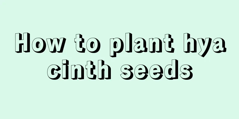 How to plant hyacinth seeds