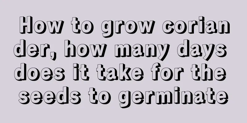 How to grow coriander, how many days does it take for the seeds to germinate