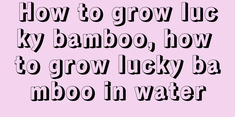 How to grow lucky bamboo, how to grow lucky bamboo in water