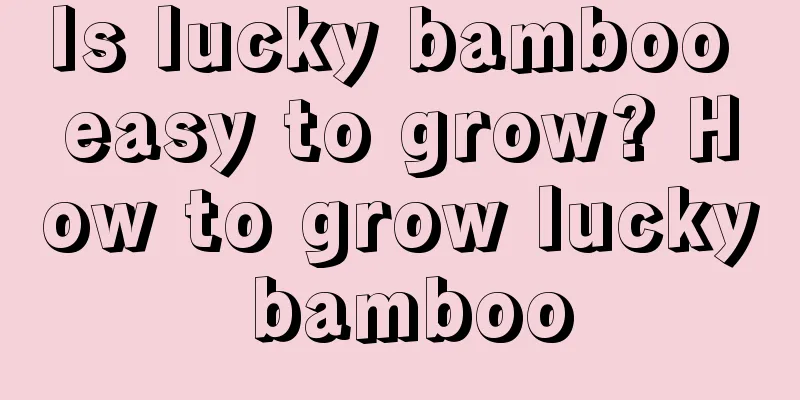 Is lucky bamboo easy to grow? How to grow lucky bamboo