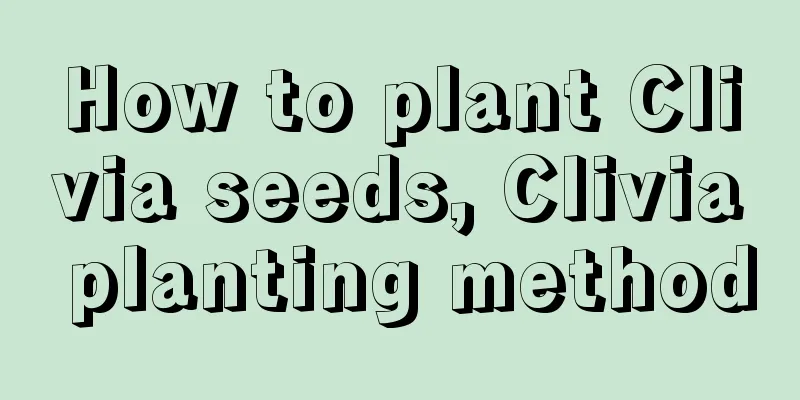 How to plant Clivia seeds, Clivia planting method