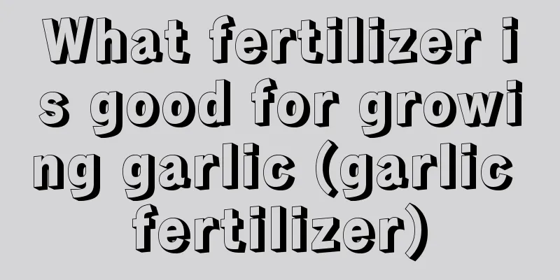 What fertilizer is good for growing garlic (garlic fertilizer)