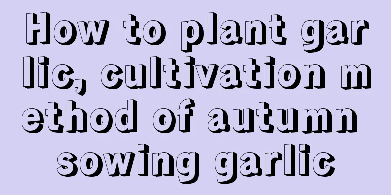 How to plant garlic, cultivation method of autumn sowing garlic