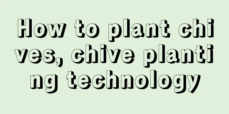 How to plant chives, chive planting technology