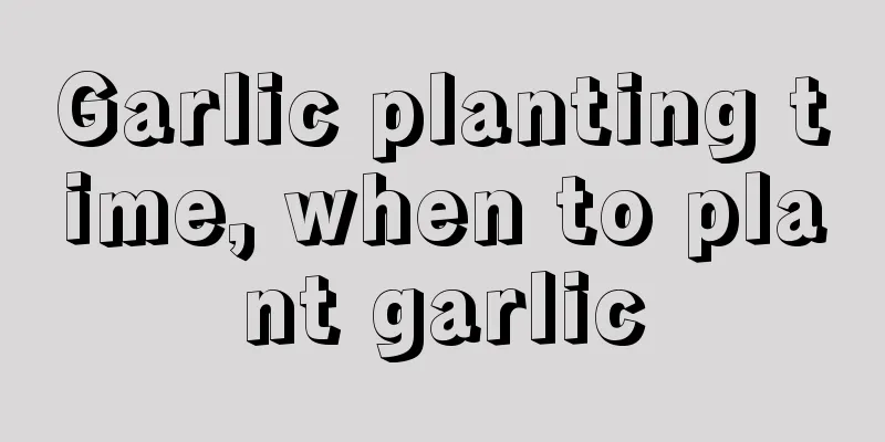 Garlic planting time, when to plant garlic