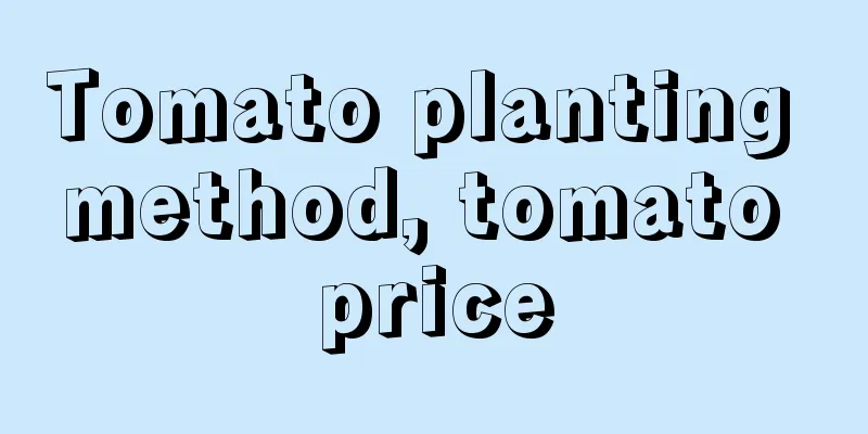 Tomato planting method, tomato price