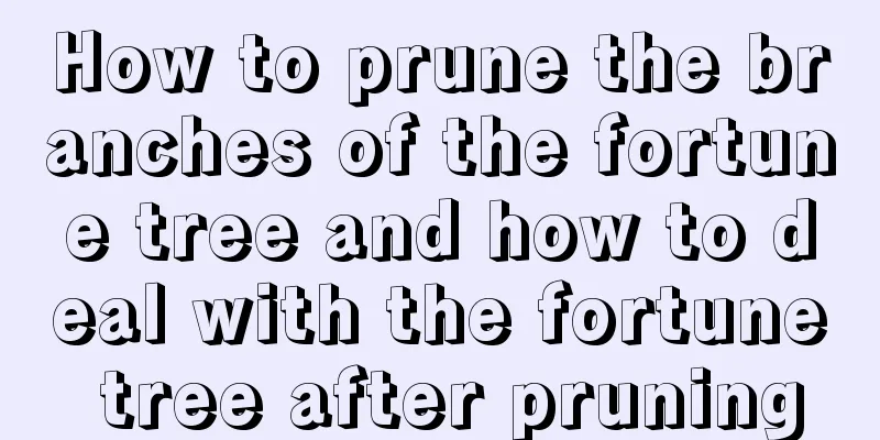 How to prune the branches of the fortune tree and how to deal with the fortune tree after pruning