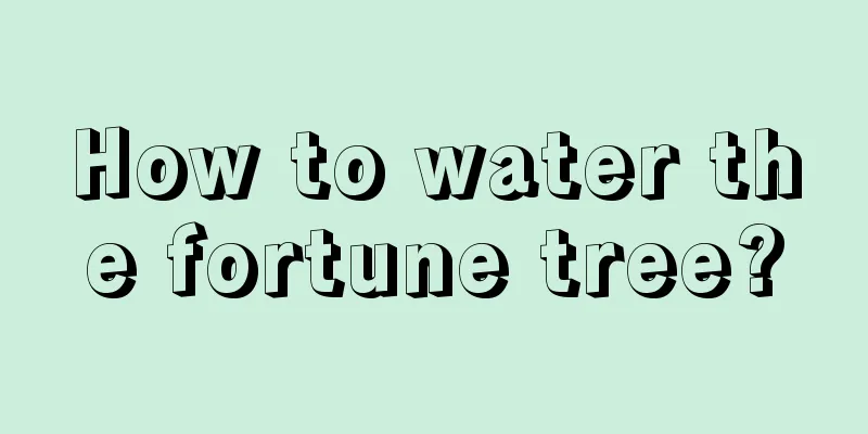 How to water the fortune tree?