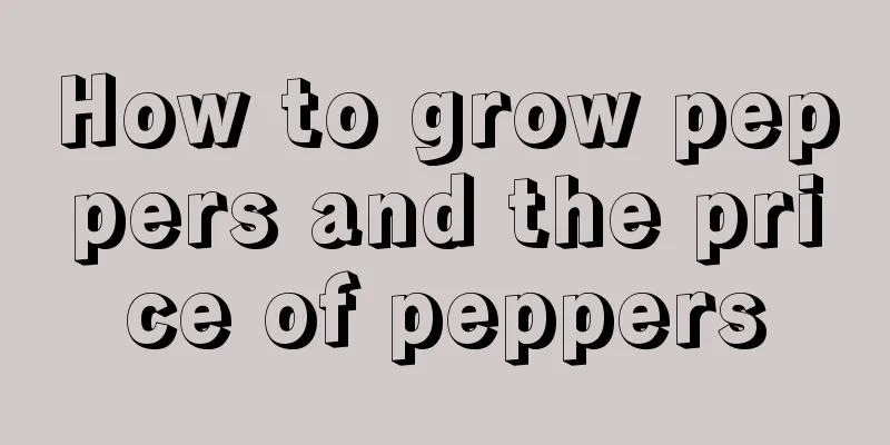 How to grow peppers and the price of peppers