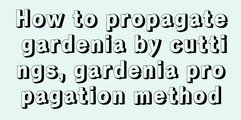 How to propagate gardenia by cuttings, gardenia propagation method