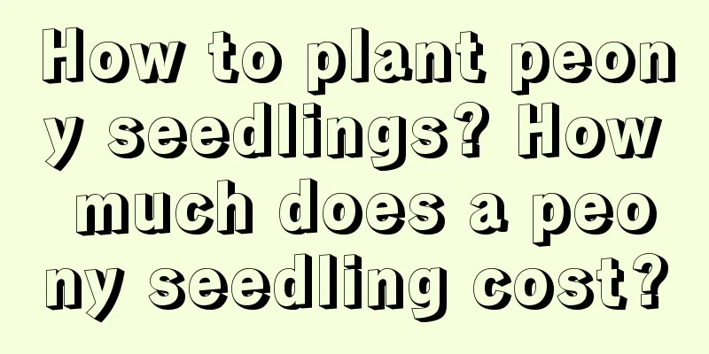 How to plant peony seedlings? How much does a peony seedling cost?