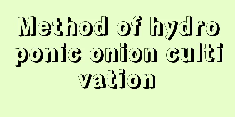 Method of hydroponic onion cultivation