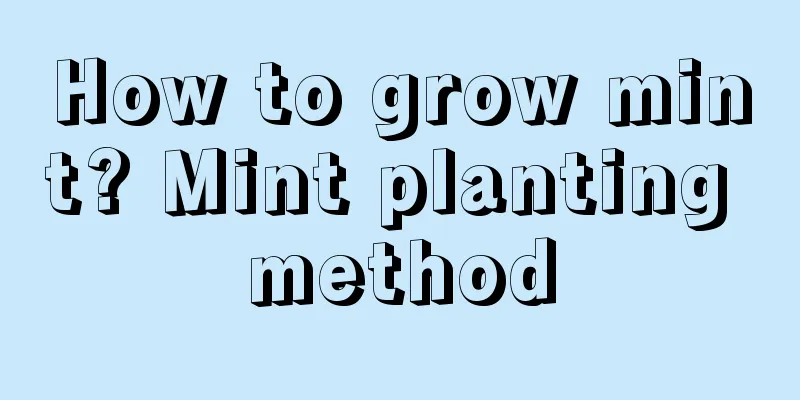 How to grow mint? Mint planting method