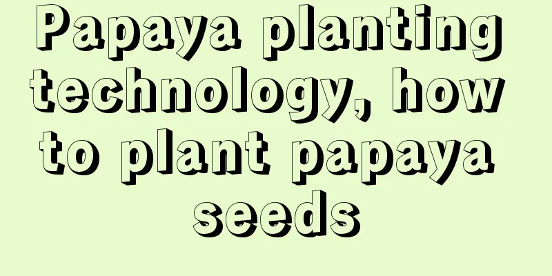 Papaya planting technology, how to plant papaya seeds