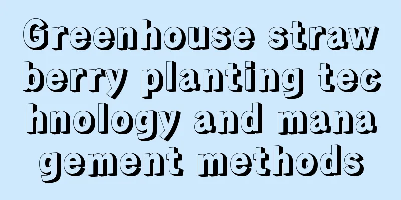 Greenhouse strawberry planting technology and management methods