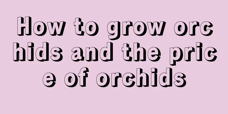 How to grow orchids and the price of orchids