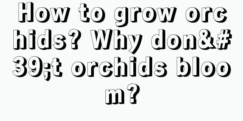 How to grow orchids? Why don't orchids bloom?