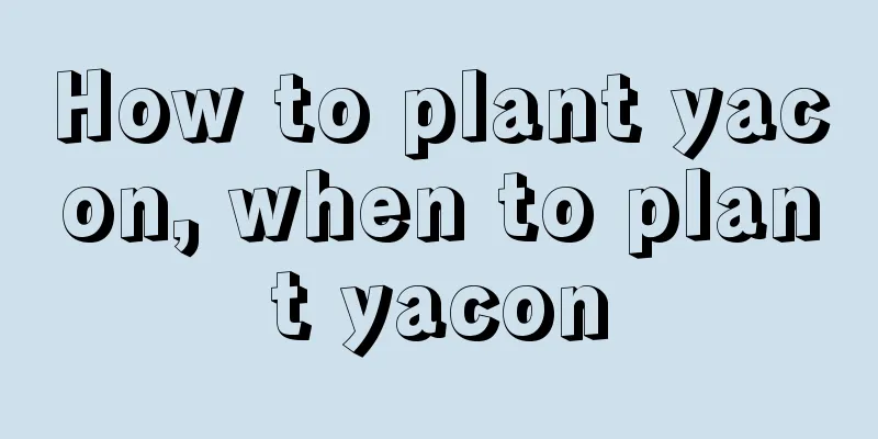 How to plant yacon, when to plant yacon