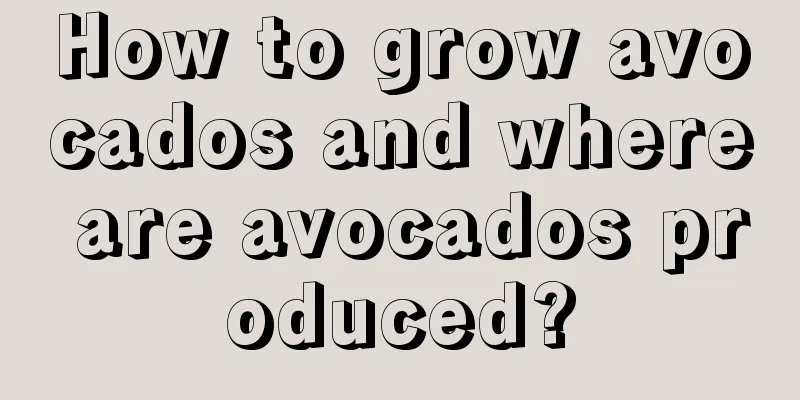 How to grow avocados and where are avocados produced?