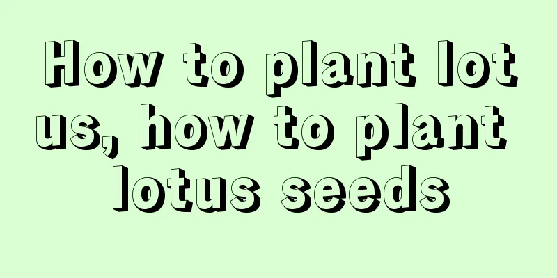 How to plant lotus, how to plant lotus seeds