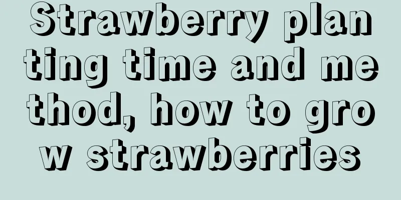 Strawberry planting time and method, how to grow strawberries