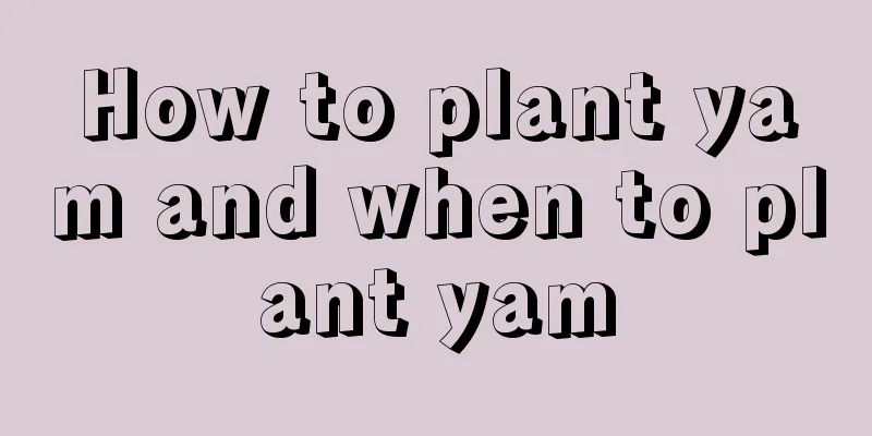 How to plant yam and when to plant yam