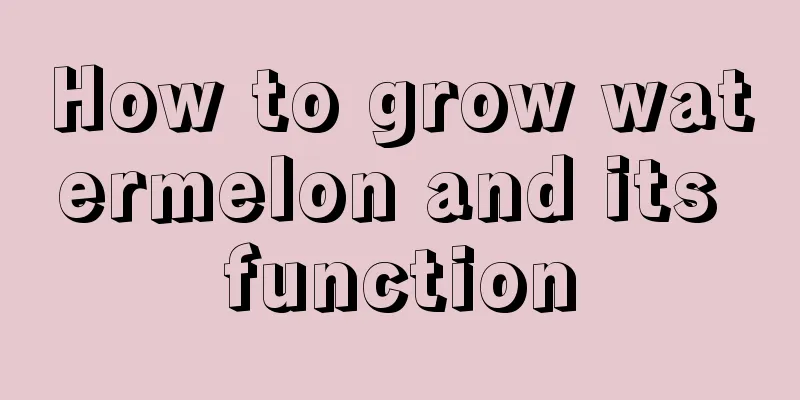 How to grow watermelon and its function