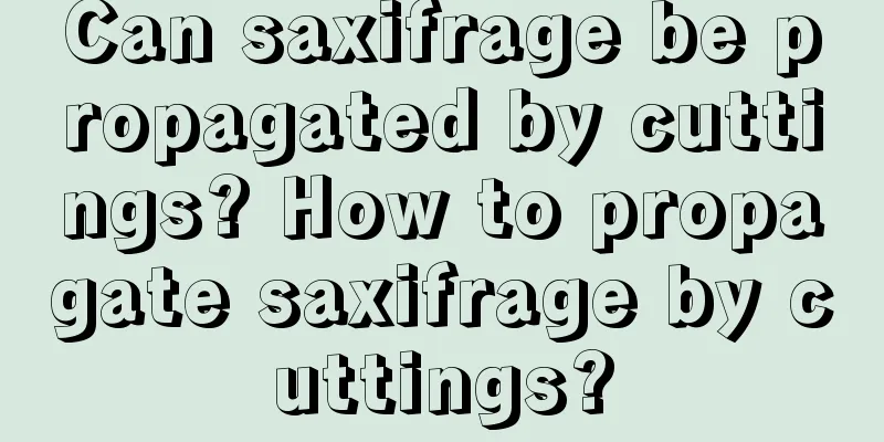 Can saxifrage be propagated by cuttings? How to propagate saxifrage by cuttings?