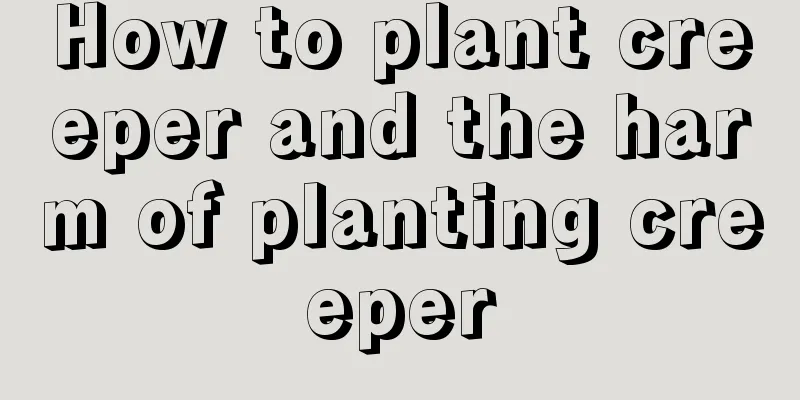 How to plant creeper and the harm of planting creeper