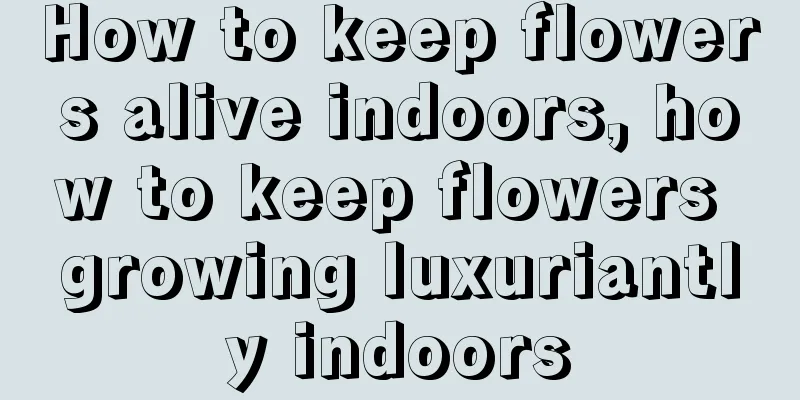 How to keep flowers alive indoors, how to keep flowers growing luxuriantly indoors